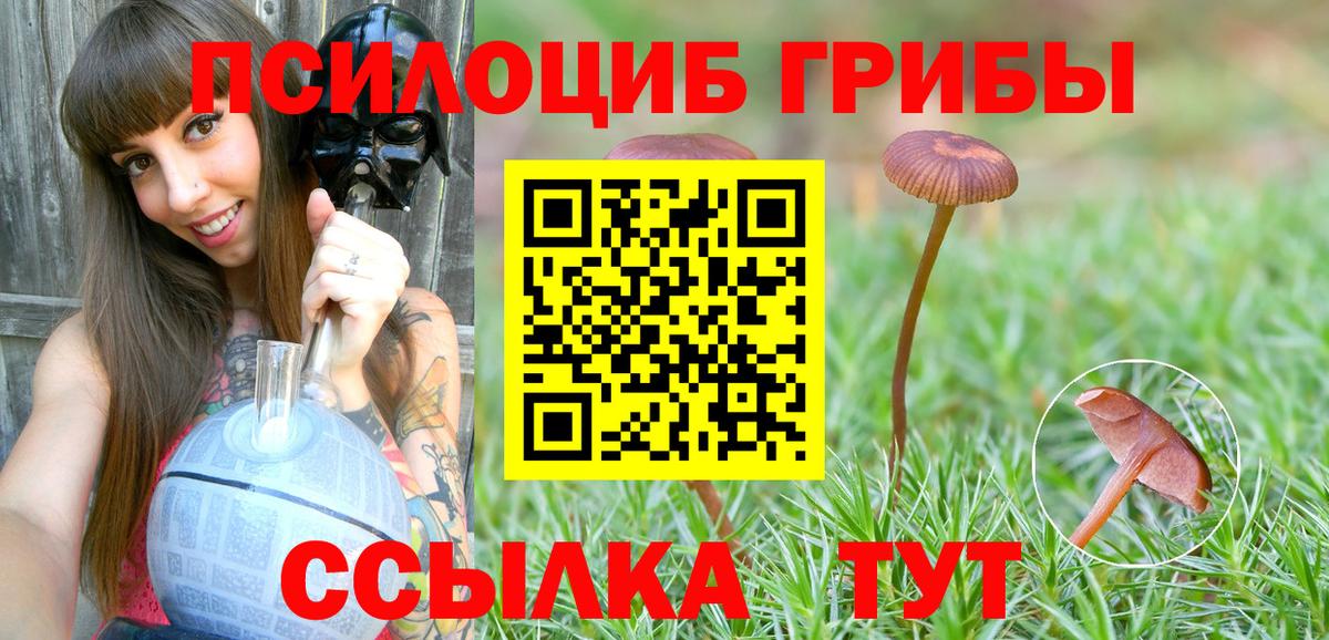 купить наркоту  Вход с VPN  Спасск-Дальний  Псилоцибиновые грибы Psilocybine cubensis 